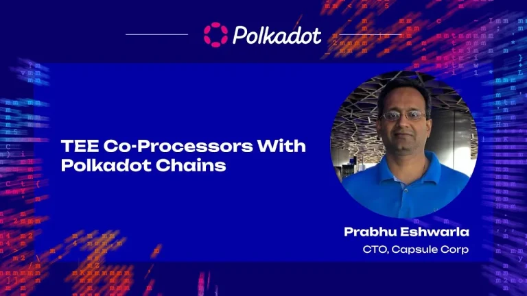 tee coprocessors polkadot ecosystem